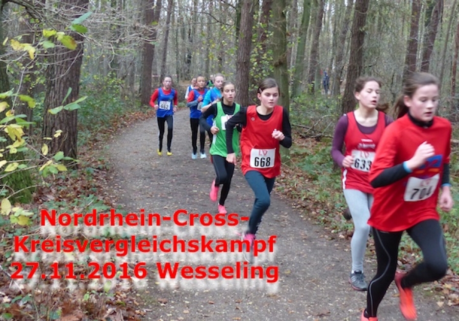 Nordrhein-Cross-Kreisvergleichskampf am 27.11.2016 in Wesseling